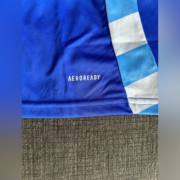 Adidas Authentic Argentina National Team 2024 Away Jersey IP8403 Men’s Sz: XL - Picture 6 of 9